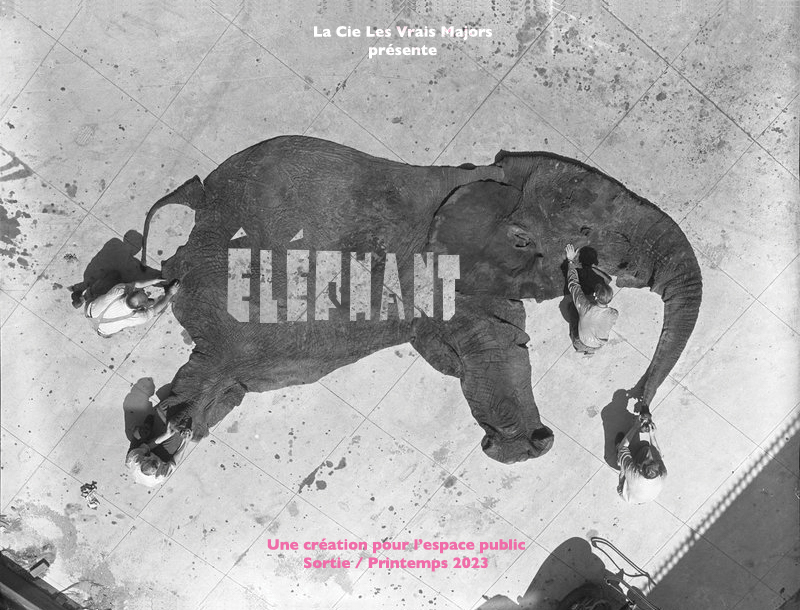 ELEPHANT (printemps 2023)